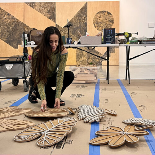 Amanda Linares artist residency