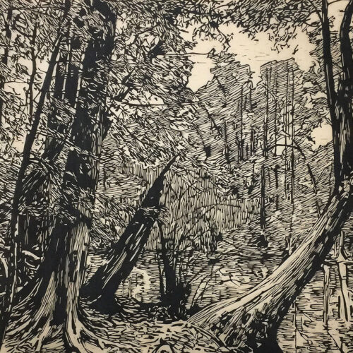 Jennifer Basile, Congaree, 2016. Hand-printed relief print on Japanese rice paper.