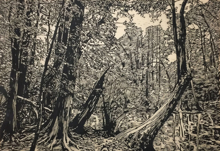 Jennifer Basile, Congaree, 2016. Hand-printed relief print on Japanese rice paper.
